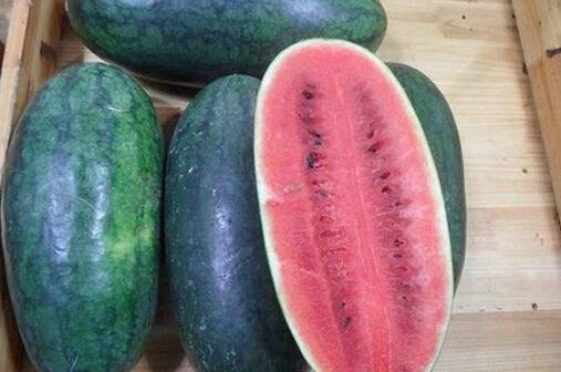 黑网网吃瓜料,网吃瓜料的背后真相