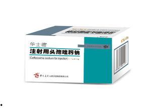 吃头孢可以吃小角瓜吗,小角瓜可否同食？营养与安全的双重考量