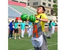 袋鼠运瓜吃瓜,趣味盎然的生态奇观