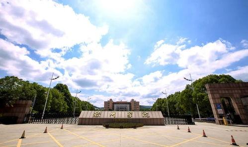 安徽滁州学院吃瓜,一场校园“吃瓜”盛宴背后的故事