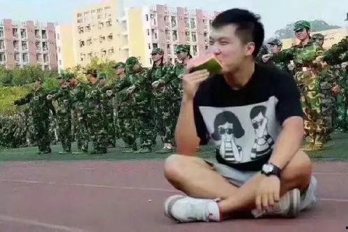 竞速吃瓜规则,一场速度与激情的瓜分盛宴