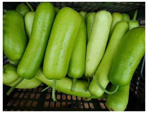 吃瓜不要扔瓜,品味瓜果，不扔瓜皮，共享绿色生活