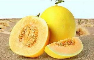 166su吃瓜网,揭秘娱乐圈最新热点，带你畅游八卦海洋