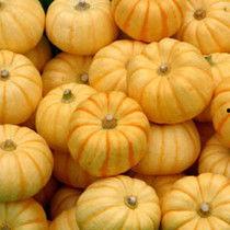 鲜桔瓜怎么吃,解锁美味新体验