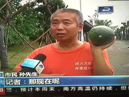 隆昌吃瓜群众事件,网络舆论下的社会现象解析