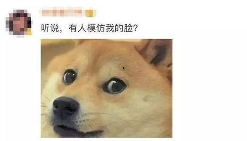 微信吃瓜表情p成狗头,趣味横生新潮流