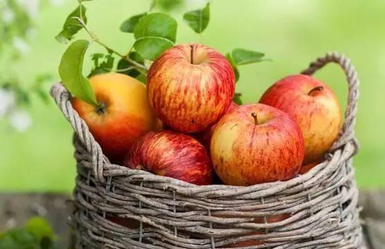 吃佛手瓜可以吃苹果吗,同食相宜的奇妙搭配