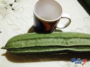 梦见邻居送瓜给我吃,瓜果传递的温馨瞬间