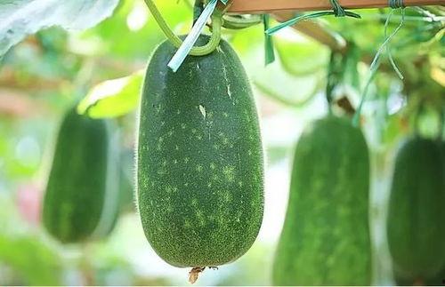 吃瓜网站4,热门话题背后的真相与内幕