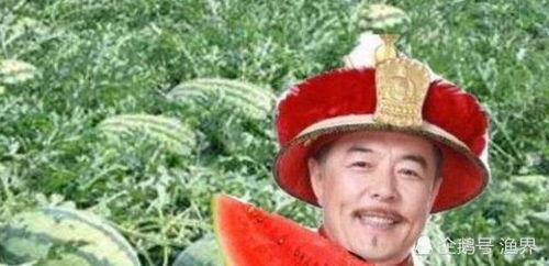 狼爷吃瓜,揭秘娱乐圈背后的秘密与真相