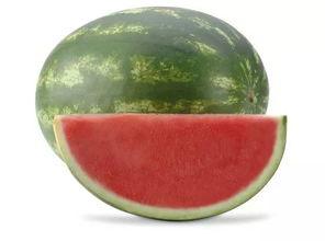 瓜苦吃坏肚子了,警惕夏日饮食安全