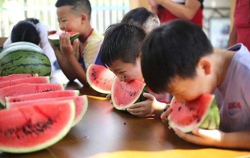 吃瓜大赛亲子,吃瓜大赛欢乐无限