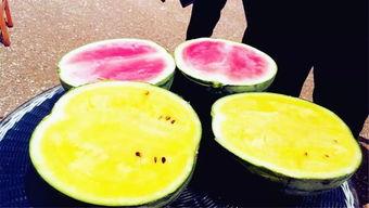 网爆健身吃瓜,揭秘健身达人的“秘密生活”