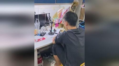 吃瓜视频大全男,男生视角下的娱乐盛宴