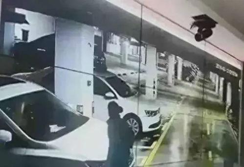 吃瓜网站地下车库,隐藏的神秘世界一探究竟