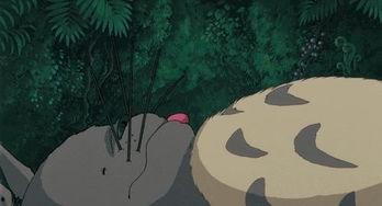 吃瓜龙猫夫妇,甜蜜日常与趣味互动大揭秘