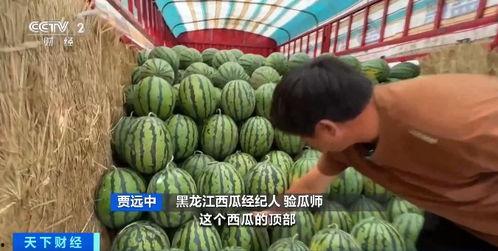 散货玩具直播间吃瓜,吃瓜群众揭秘网红玩具背后的秘密