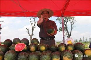 瓜娃快乐吃瓜,揭秘娱乐圈那些事儿