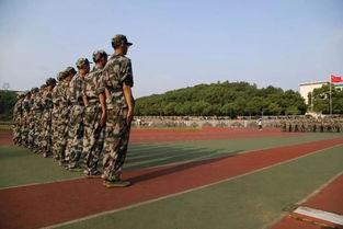 湘大军训吃瓜,吃瓜群众围观军营风云