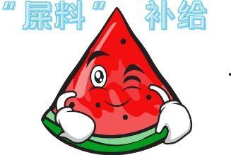 小叮当现场吃瓜,趣味横生瞬间捕捉